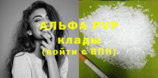 альфа пвп Новодвинск
