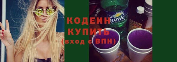 соль ск Новозыбков