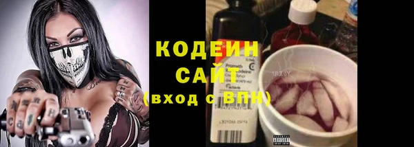 альфа пвп Новодвинск