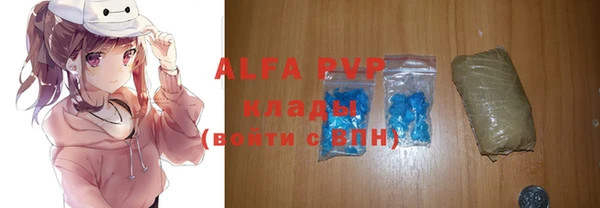 альфа пвп Новодвинск