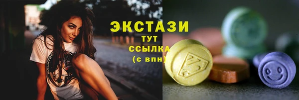 соль ск Новозыбков