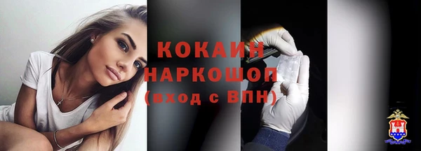 соль ск Новозыбков