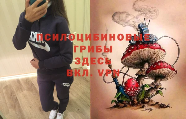 ГАЛЛЮЦИНОГЕННЫЕ ГРИБЫ Нягань