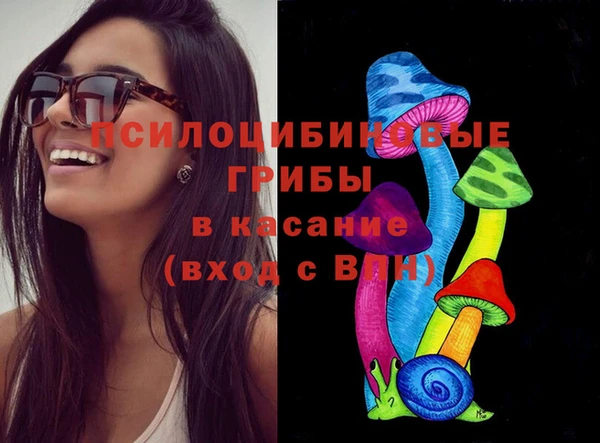 соль ск Новозыбков