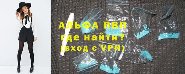 соль ск Новозыбков
