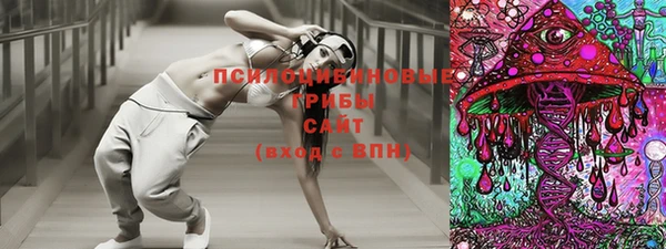 соль ск Новозыбков
