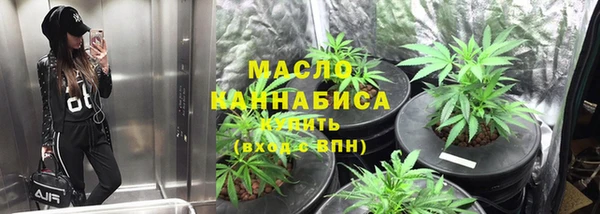 соль ск Новозыбков