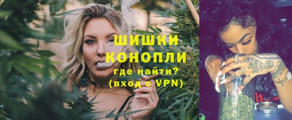 соль ск Новозыбков