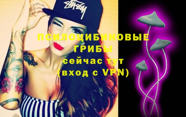 соль ск Новозыбков