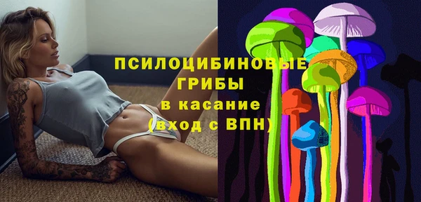 бошки Нязепетровск