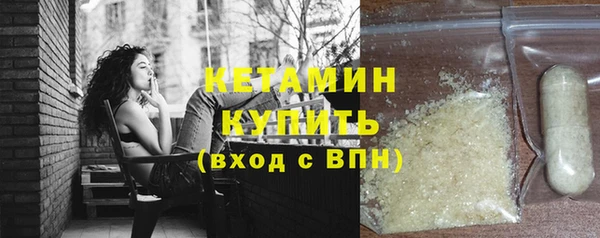 соль ск Новозыбков
