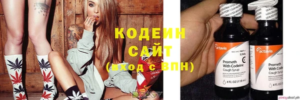 соль ск Новозыбков