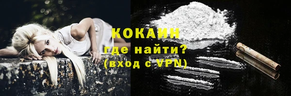 соль ск Новозыбков