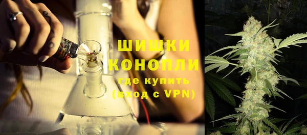 альфа пвп Новодвинск
