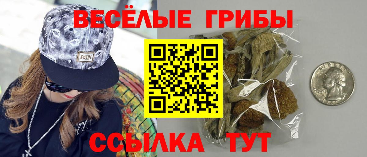 Галлюциногенные грибы Psilocybe  Вход с VPN  Псилоцибиновые грибы мицелий  Ангарск 